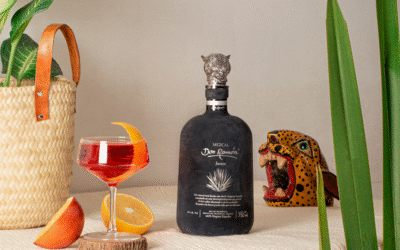 Degusta como un Experto: Guía Esencial para Tomar Tequila