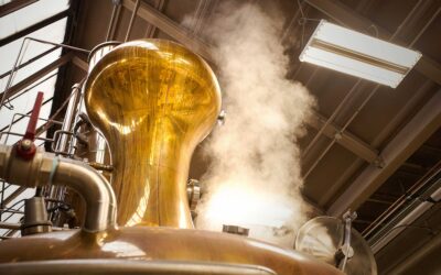 ¿Cómo es el proceso del destilado del tequila? | Casa Don Ramón