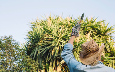 El Boom del Tequila: Su Impacto en la Economía Mexicana