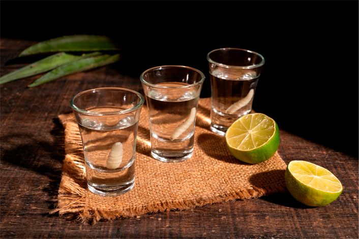 Diferentes Tipos de Mezcal y Cómo Disfrutarlos | Casa Don Ramón