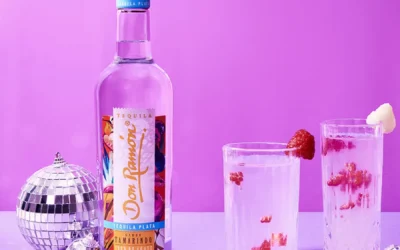 Receta de cóctel Lichie Tamarindo con Casa Don Ramón