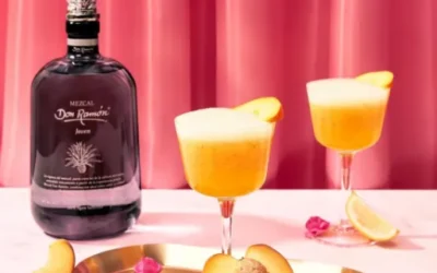 Receta de cóctel Durazno Coctel con Casa Don Ramón