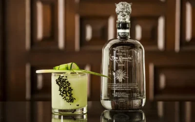 Receta de cóctel Manzana Guanabana con Casa Don Ramón