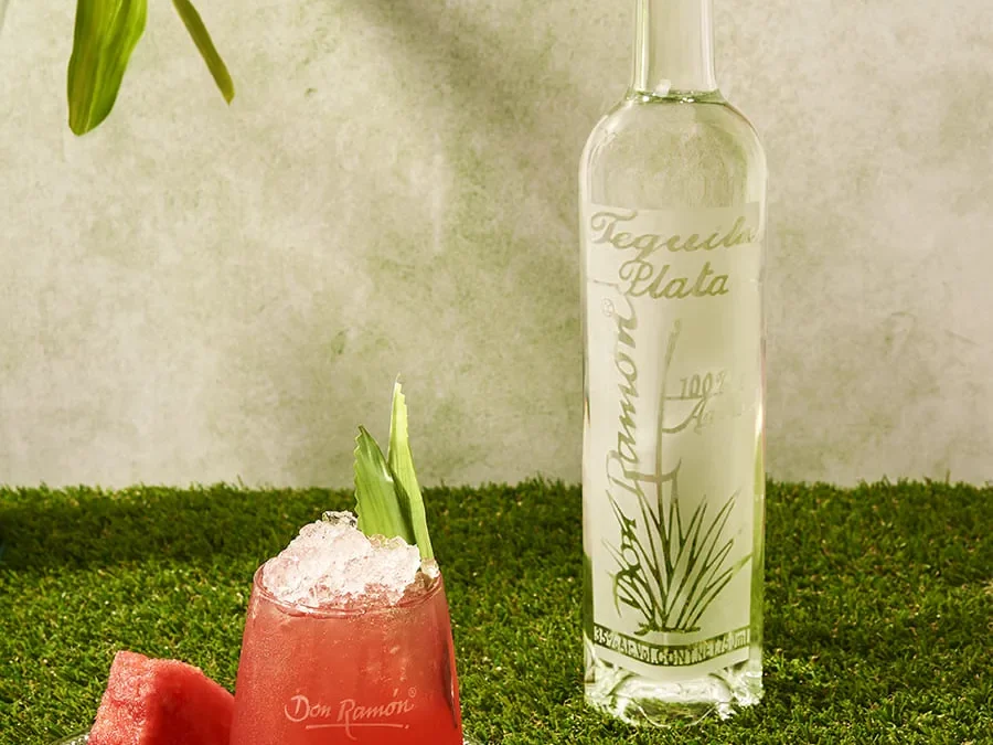 Receta de cóctel Sandia Coctel con Casa Don Ramón