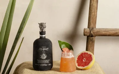 Receta de cóctel Toronja Coctel con Casa Don Ramón