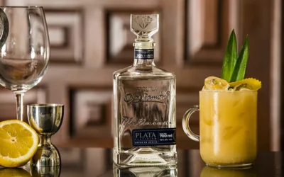 Receta de cóctel Xolo Coctel con Casa Don Ramón