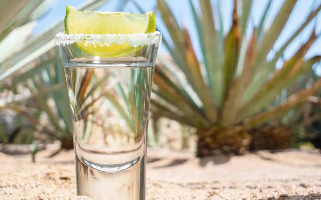 Los Mejores Tequilas para Brindar con Mamá